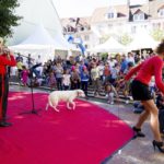 montbeliard-le-26-08-2018-derniere-journee-du-festival-de-momesphoto-christian-lemontey-1535307779 (17)